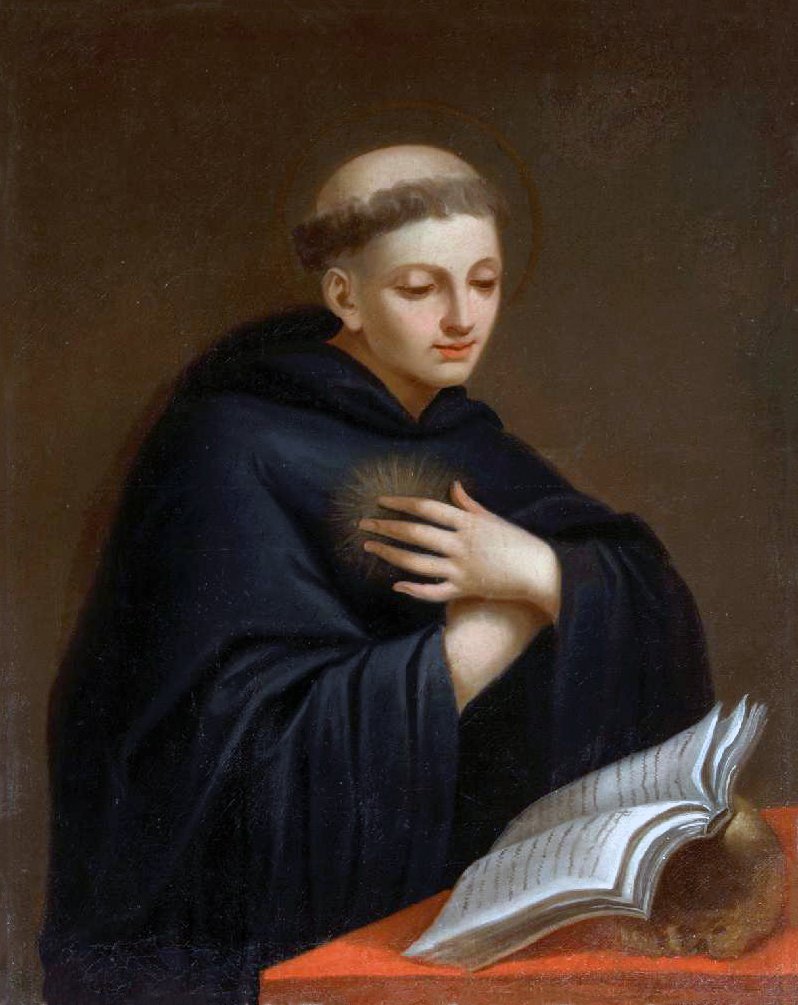 A imagem é uma pintura a óleo de estilo clássico que retrata São Nicolau de Tolentino em plano de meio corpo. O santo é retratado como um homem jovem, de pele clara e feições delicadas, com uma expressão serena e contemplativa, olhando para baixo. Ele usa a tonsura monástica (o topo da cabeça raspado com uma coroa de cabelos escuros ao redor). Uma auréola fina e dourada contorna sua cabeça. Ele veste um hábito religioso escuro e volumoso (em tom de preto ou azul muito profundo) com um capuz repousando sobre os ombros. Sua mão direita está cruzada sobre o peito, repousando delicadamente sobre um sol ou estrela luminosa que irradia luz a partir de sua veste. Ele está posicionado diante de uma mesa coberta por um tecido em tom vermelho-alaranjado. No canto inferior direito, sobre a mesa, há um livro aberto com páginas visíveis, que está apoiado em cima de um crânio humano em tons de marrom. O fundo da pintura é liso e em tons escuros e terrosos. A iluminação da obra incide suavemente sobre o rosto do santo, sua mão e o livro aberto, criando um belo contraste com as áreas de sombra.